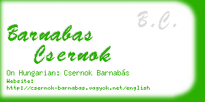 barnabas csernok business card